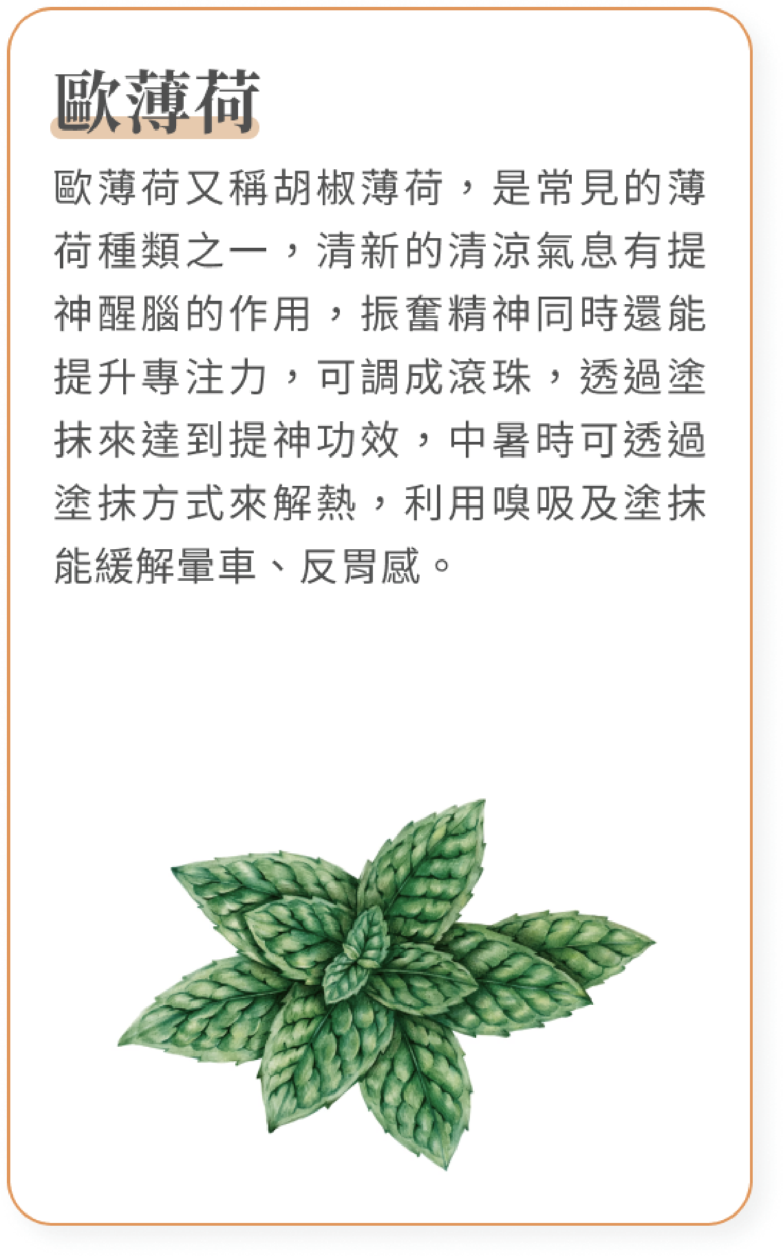 歐薄荷_mobile